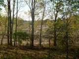 DSCN0881.html
