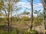 DSCN0892.html