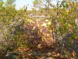 DSCN0894.html