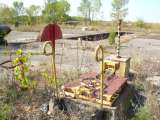 DSCN0895.html