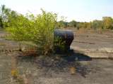 DSCN0896.html
